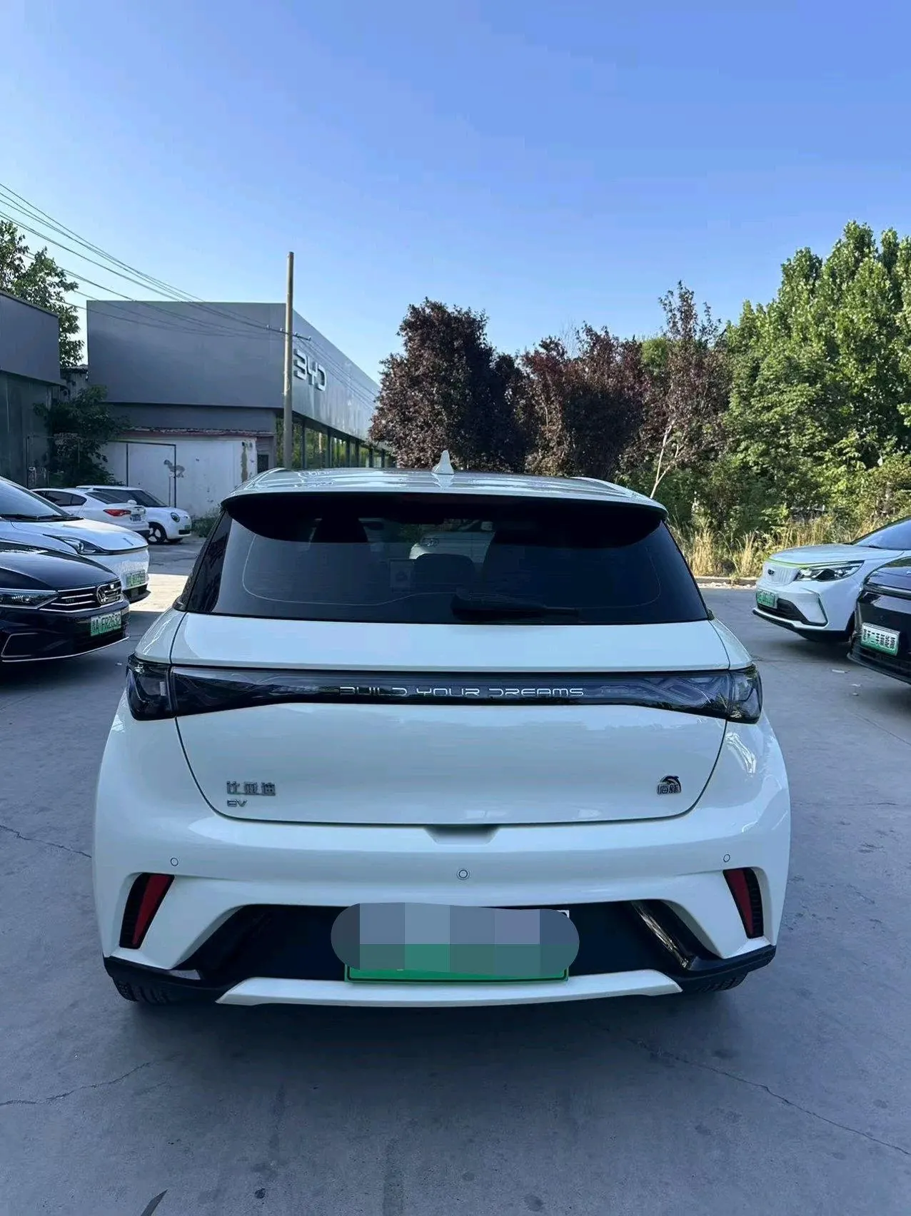 BYD 2023 Dolphin 420km Fashion Edition Automatic 3