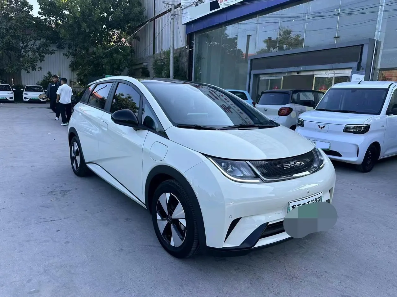 BYD 2023 Dolphin 420km Fashion Edition Automatic 4