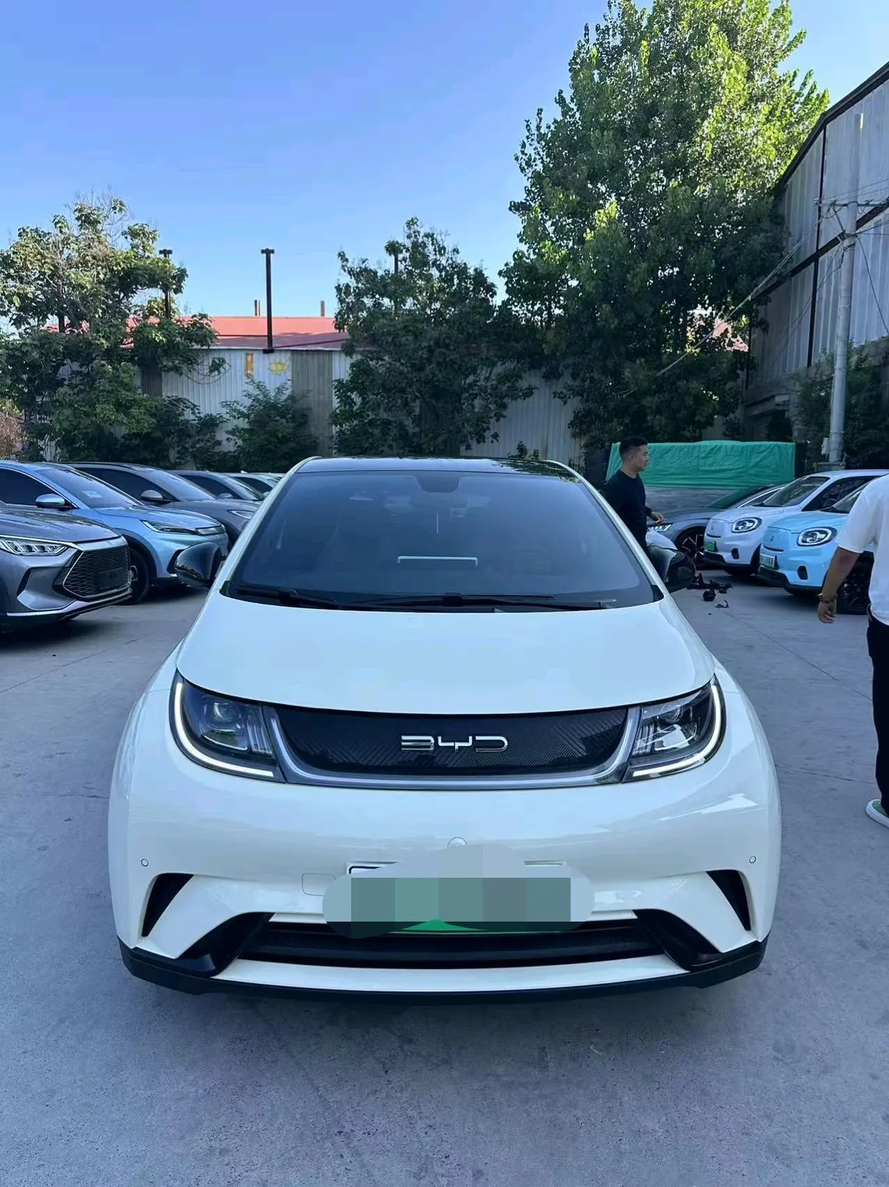 BYD 2023 Dolphin 420km Fashion Edition Automatic 5