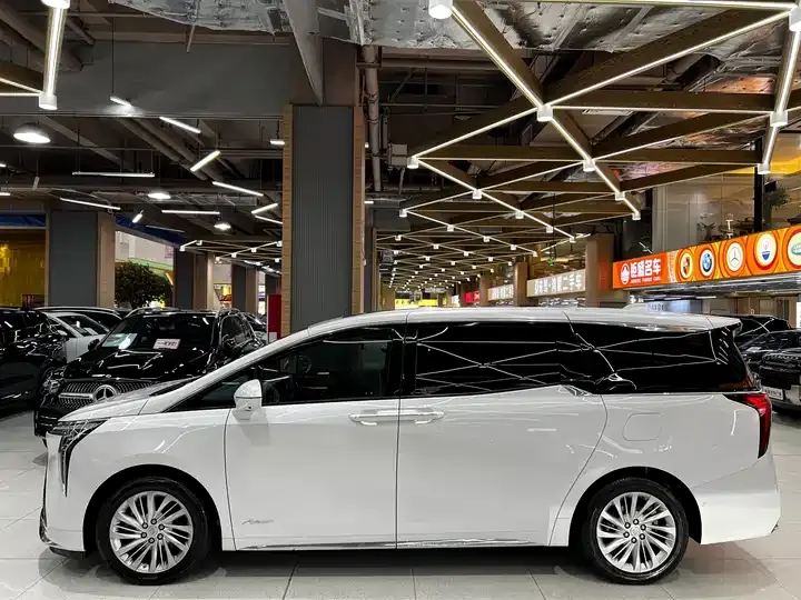 Century 2023 2.0T Six-seat World Edition 3