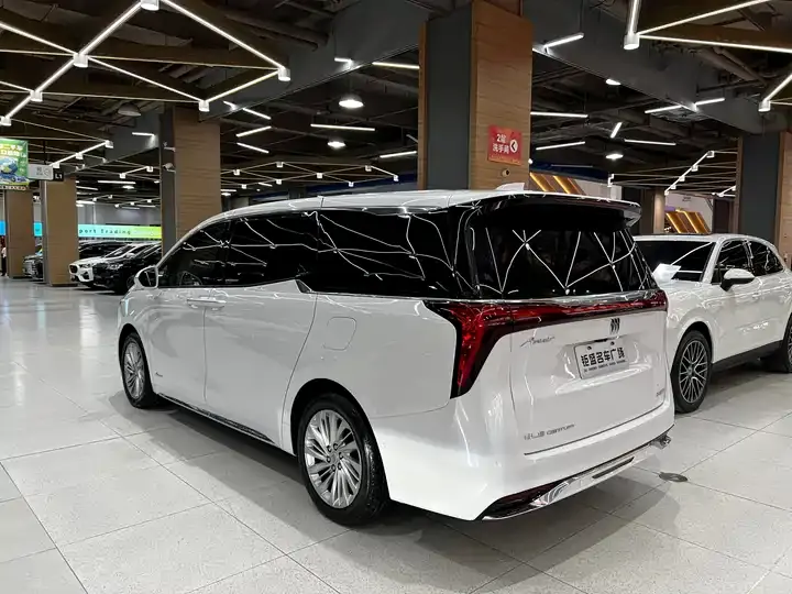 Century 2023 2.0T Six-seat World Edition 4