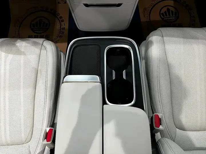 Century 2023 2.0T Six-seat World Edition 9