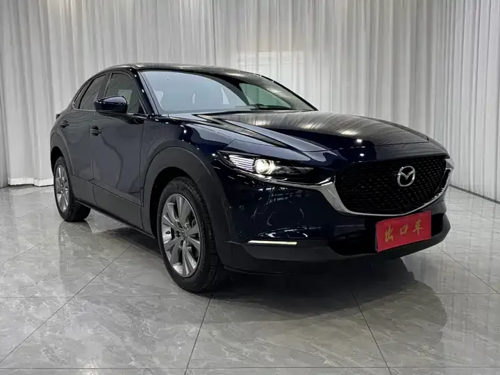 Mazda CX-30 2021 2.0L Automatic Yayue Model 2