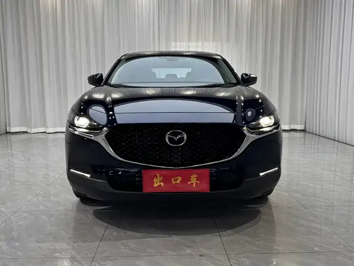 Mazda CX-30 2021 2.0L Automatic Yayue Model 3