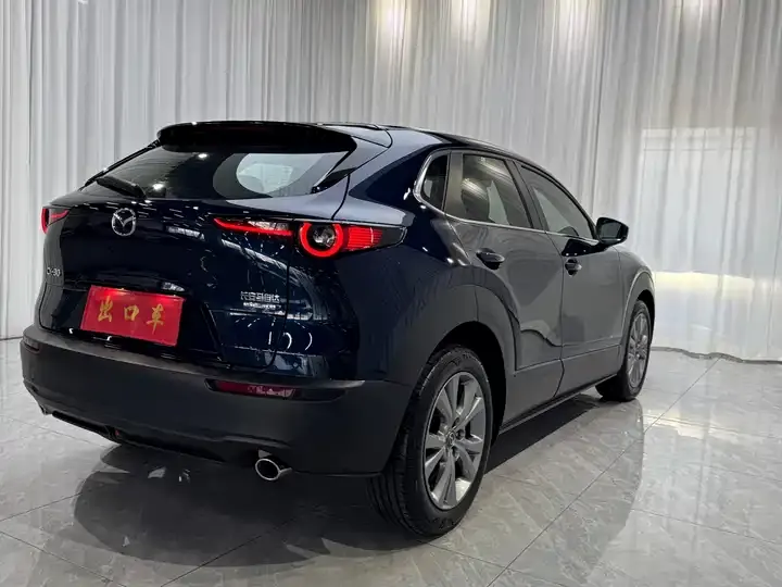 Mazda CX-30 2021 2.0L Automatic Yayue Model 5