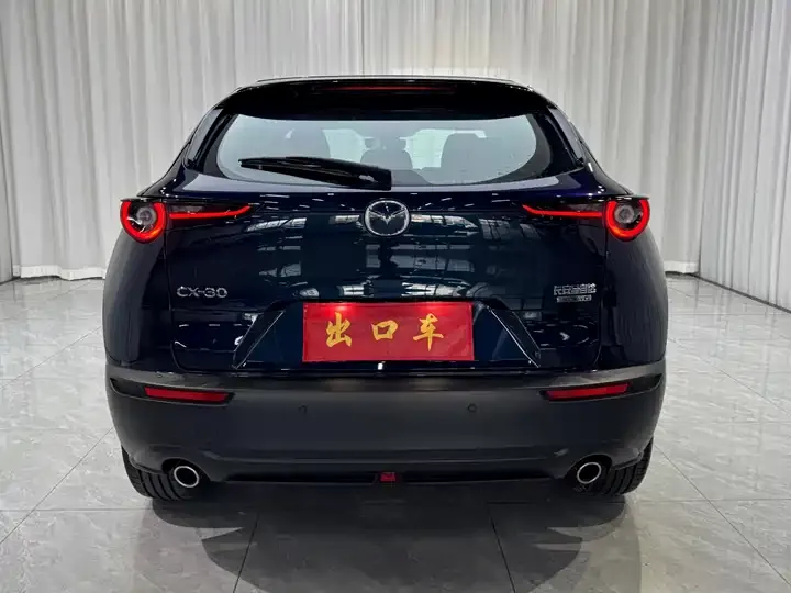 Mazda CX-30 2021 2.0L Automatic Yayue Model 6
