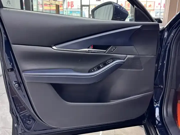 Mazda CX-30 2021 2.0L Automatic Yayue Model 7