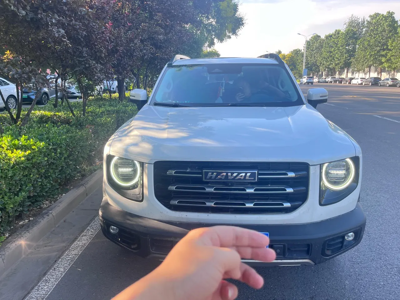 Haval 2021 Big Dogs 1.5T Border Animal Husbandry Wangcai Edition Automatic Gear 2