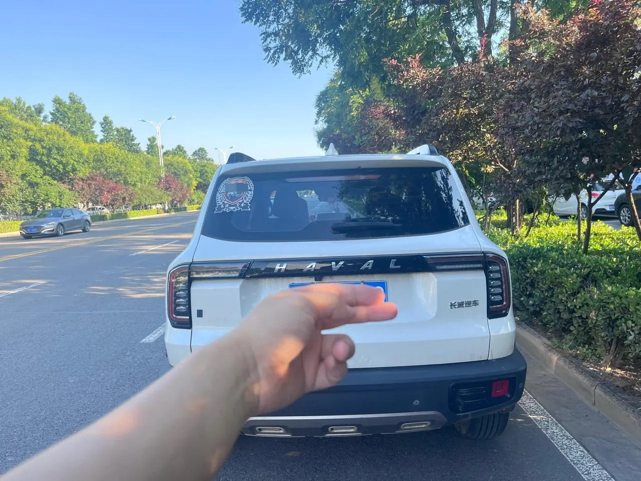 Haval 2021 Big Dogs 1.5T Border Animal Husbandry Wangcai Edition Automatic Gear 3