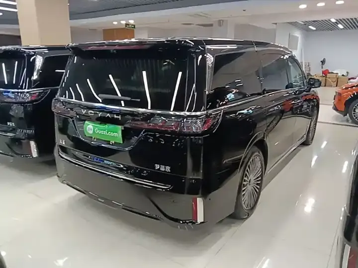 Voyah dreamer 2025 PHEV four-wheel drive distinguished dry Kun version 7