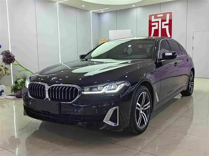BMW 5 Series 2021 Modified 530Li xDrive Deluxe Suit - View 1