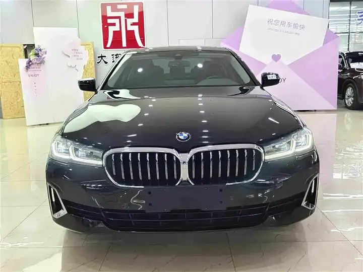 BMW 5 Series 2021 Modified 530Li xDrive Deluxe Suit 2