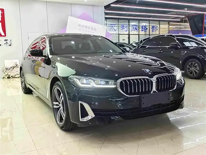BMW 5 Series 2021 Modified 530Li xDrive Deluxe Suit 3