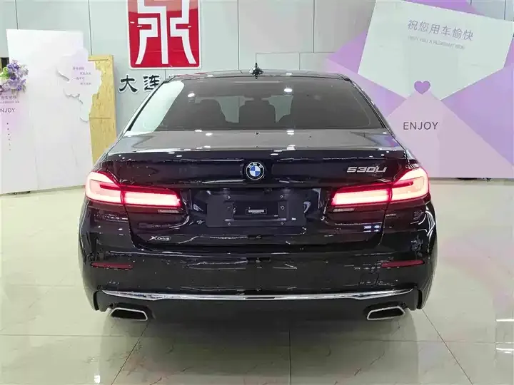 BMW 5 Series 2021 Modified 530Li xDrive Deluxe Suit 5