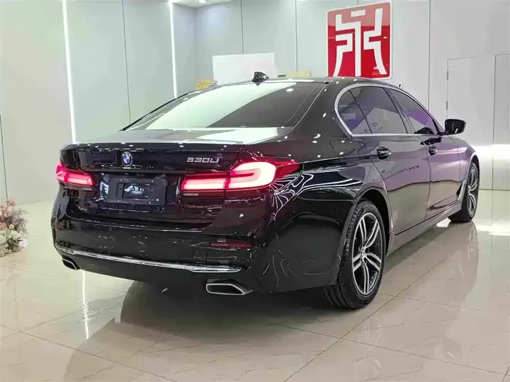 BMW 5 Series 2021 Modified 530Li xDrive Deluxe Suit 6