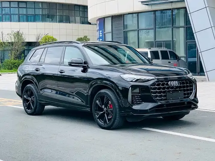 Audi Q6 2025 45 TFSI quattro Black Samurai Flying Ride Kit 6 3