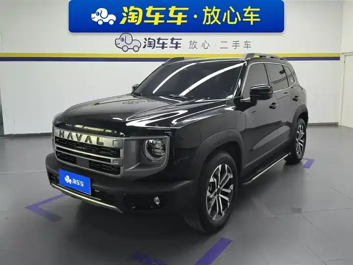 Haval Big Dog 2024 1.5T DCT Border Animal Husbandry Edition - View 1
