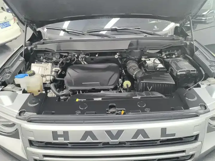 Haval Big Dog 2024 1.5T DCT Border Animal Husbandry Edition 10
