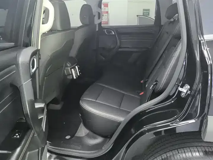 Haval Big Dog 2024 1.5T DCT Border Animal Husbandry Edition 11