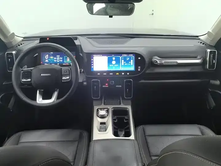 Haval Big Dog 2024 1.5T DCT Border Animal Husbandry Edition 12