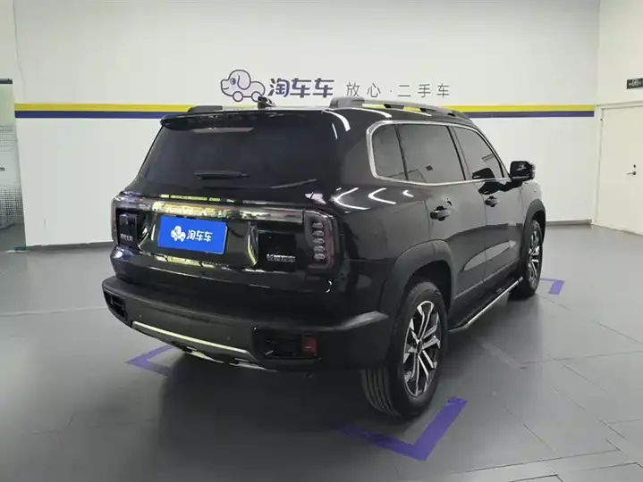 Haval Big Dog 2024 1.5T DCT Border Animal Husbandry Edition 3