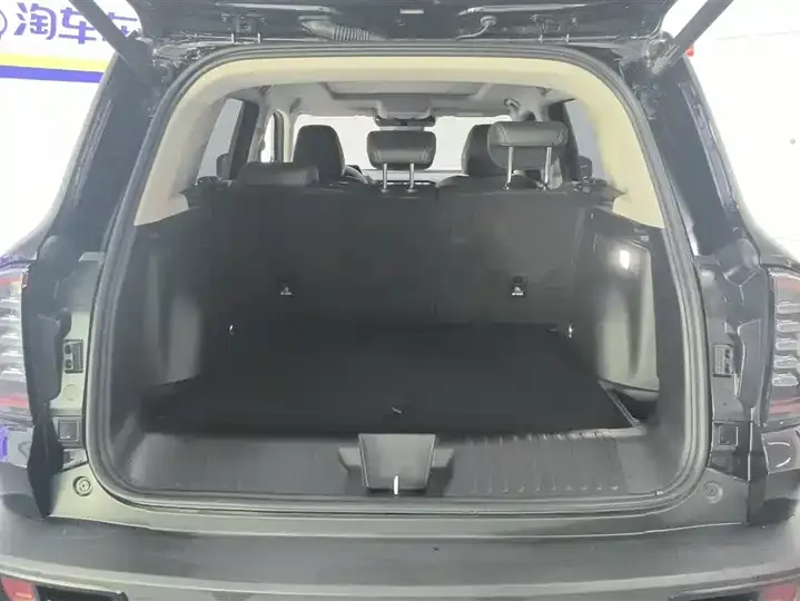 Haval Big Dog 2024 1.5T DCT Border Animal Husbandry Edition 4