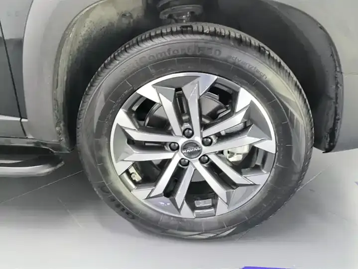 Haval Big Dog 2024 1.5T DCT Border Animal Husbandry Edition 6
