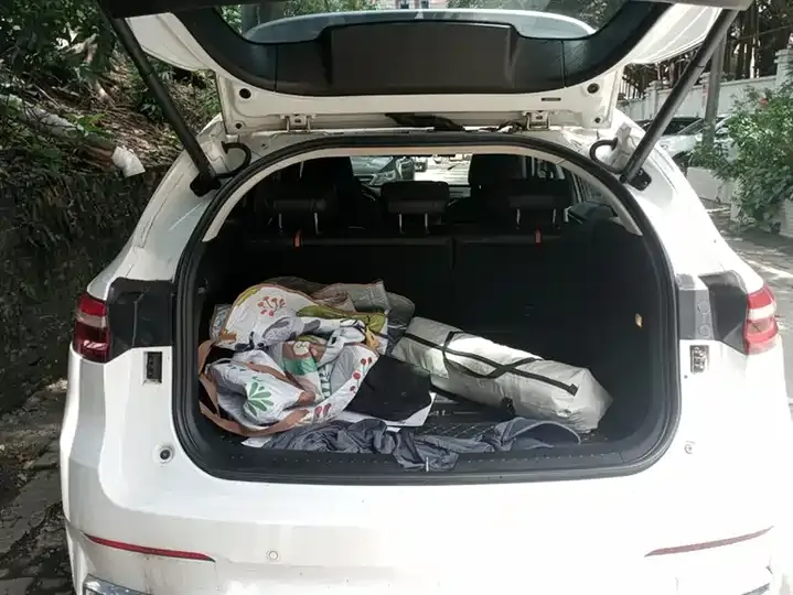 Haval F7 2021 1.5T Two-Drive I Type 4