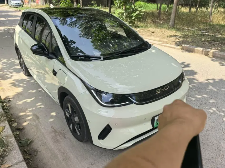 BYD 2025 Dolphin Smart Driving 410km Fashion Automatic Gear 2