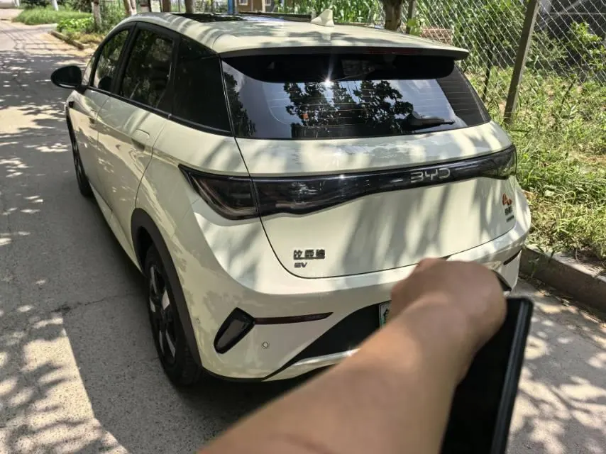 BYD 2025 Dolphin Smart Driving 410km Fashion Automatic Gear 3
