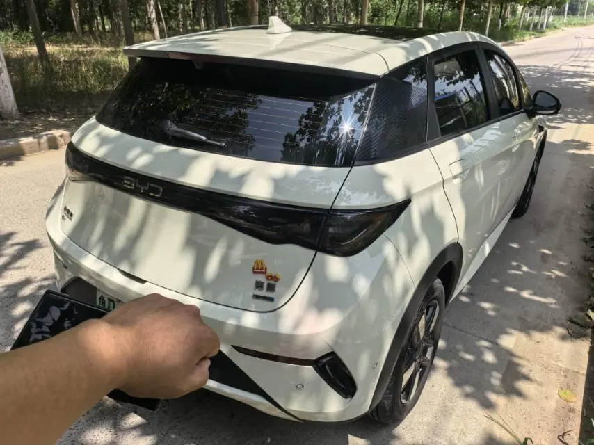 BYD 2025 Dolphin Smart Driving 410km Fashion Automatic Gear 4