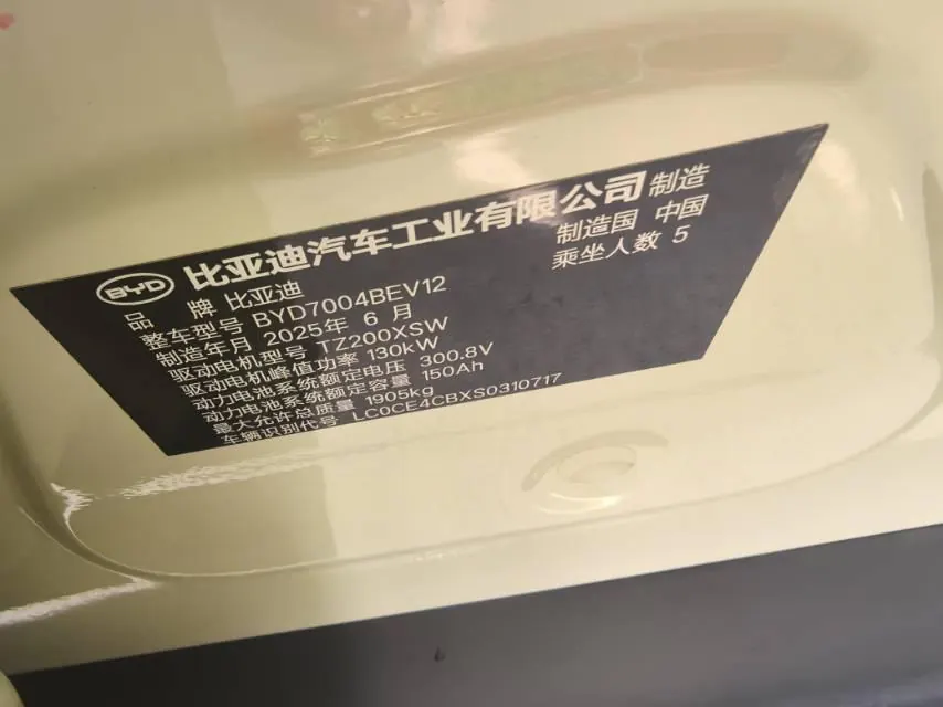 BYD 2025 Dolphin Smart Driving 410km Fashion Automatic Gear 5