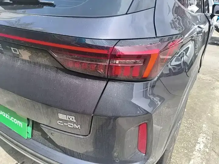 Xingtu Chifeng C- DM 2024 C- DM 1.5TCI 105KM Land Crown Edition 8