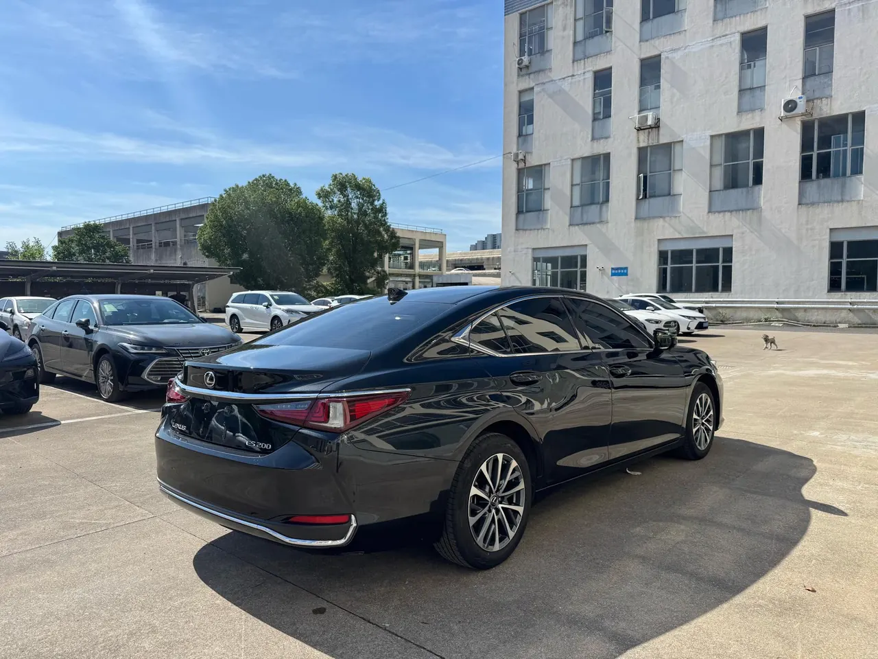 Lexus ES (Imported) 2023 ES200 2.0 Stepless Premium Edition Automatic Gear 9