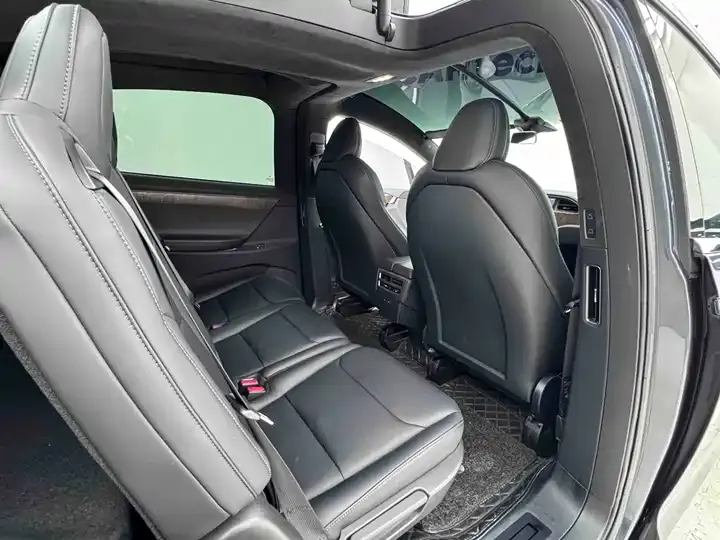 Model X 2019 Long Life Edition 10