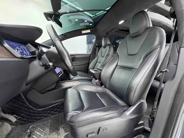 Model X 2019 Long Life Edition 12