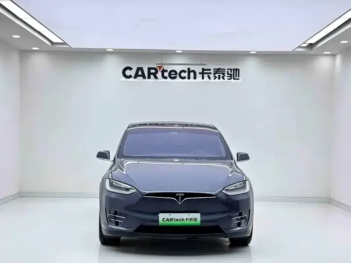 Model X 2019 Long Life Edition 2