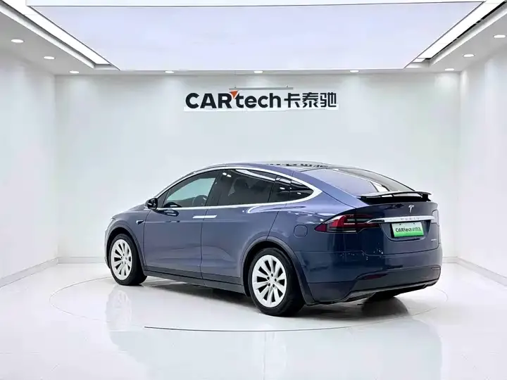 Model X 2019 Long Life Edition 3