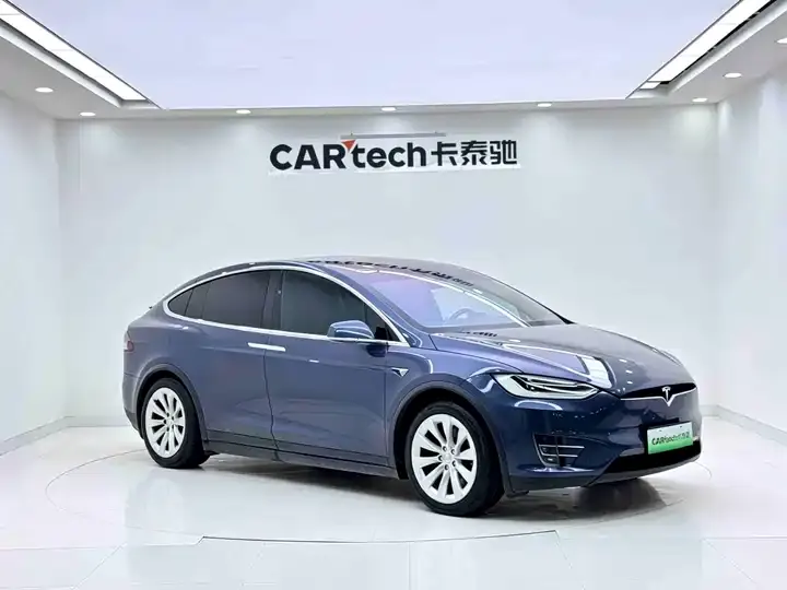 Model X 2019 Long Life Edition 5