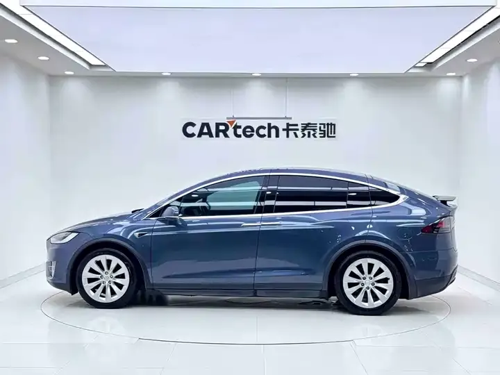 Model X 2019 Long Life Edition 6