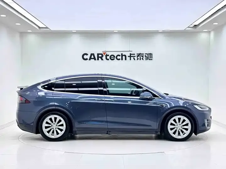 Model X 2019 Long Life Edition 7
