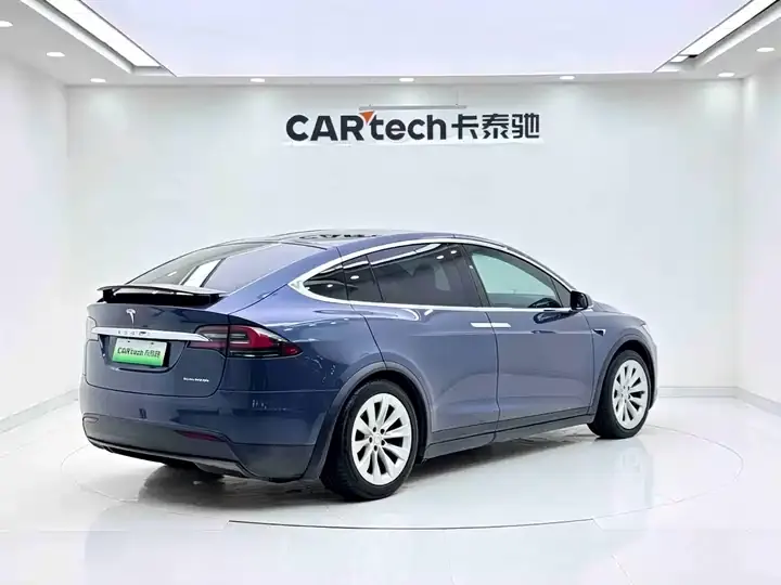 Model X 2019 Long Life Edition 8