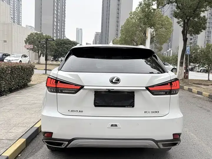 Lexus RX 2020 facelift 15000.00g Drive Elite Edition 6