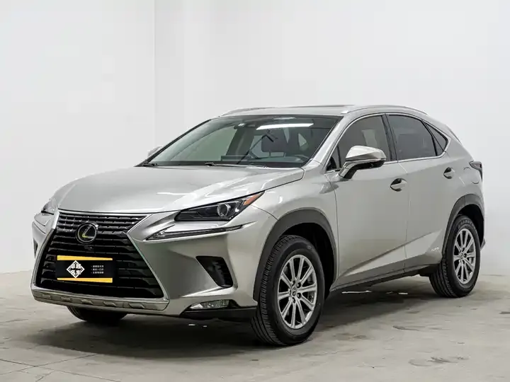 Lexus NX 2020 300h Precursor Front Edition Country VI - View 1
