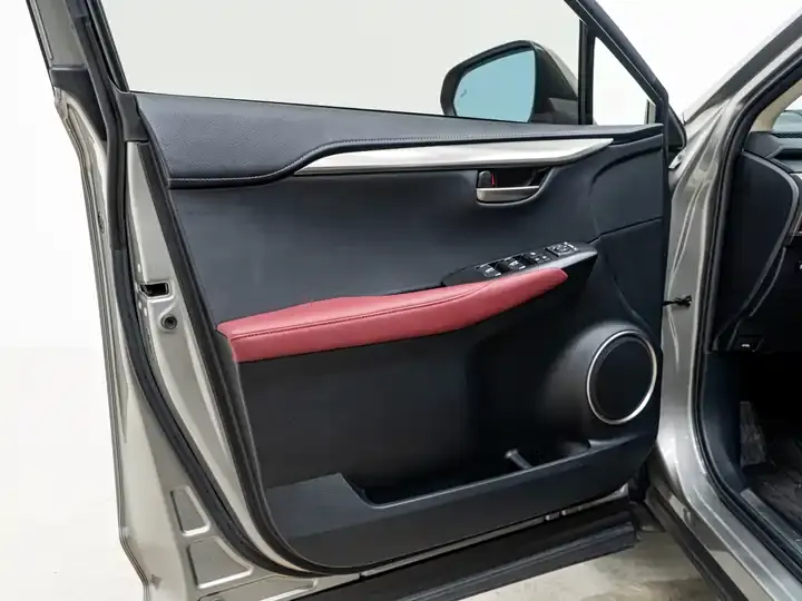 Lexus NX 2020 300h Precursor Front Edition Country VI 12