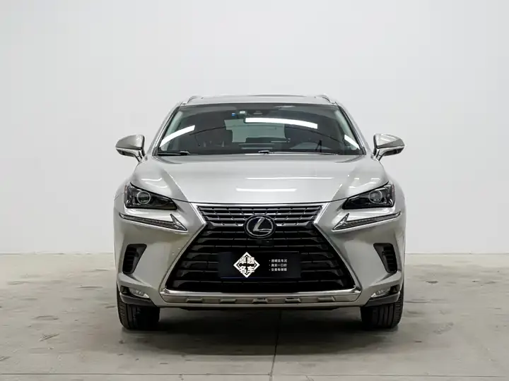 Lexus NX 2020 300h Precursor Front Edition Country VI 2