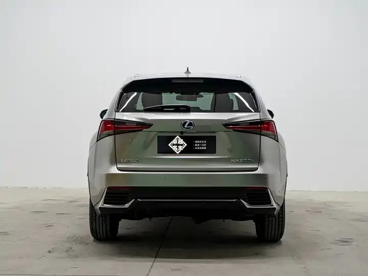 Lexus NX 2020 300h Precursor Front Edition Country VI 6
