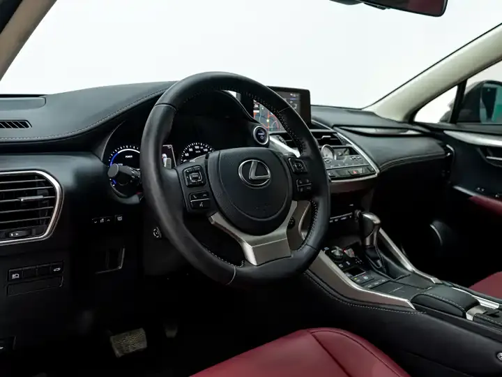 Lexus NX 2020 300h Precursor Front Edition Country VI 9