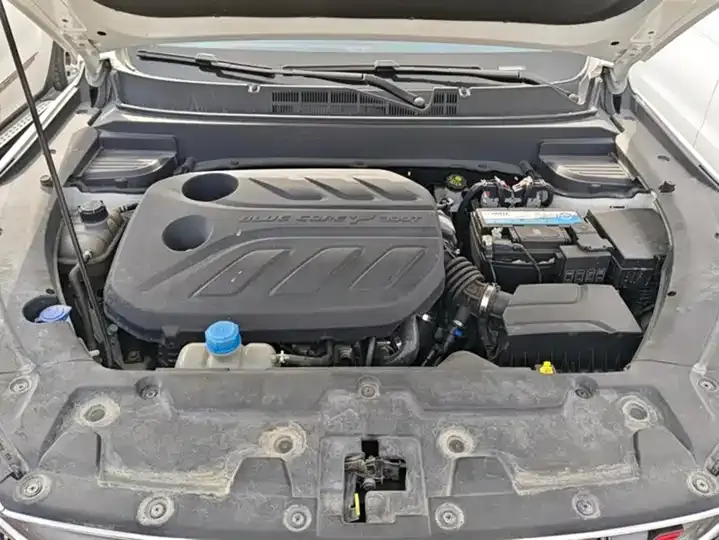 ChangAn Oshan X5 2021 1.5T DCT Flagship 10