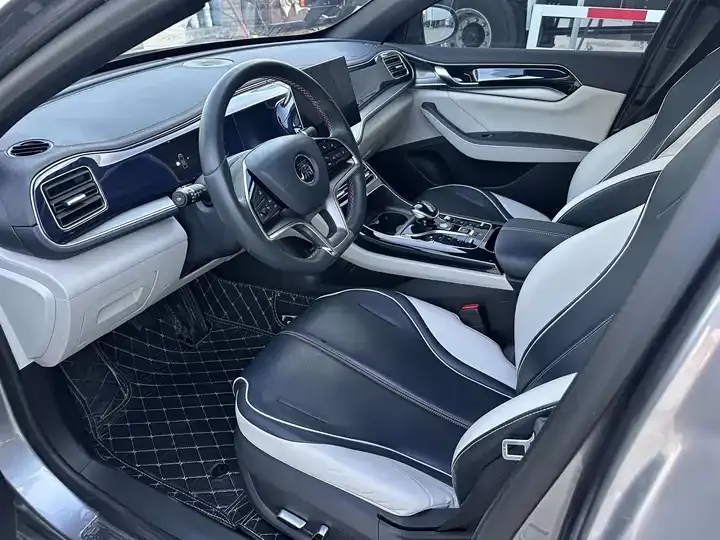 Qin PLUS 2021 EV 400KM Luxury Model 3